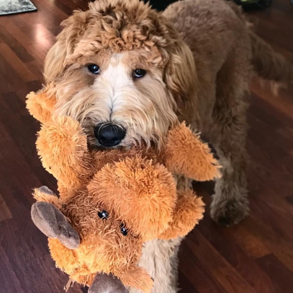 Meet your Posher, Estefania - Picture 1 of 1